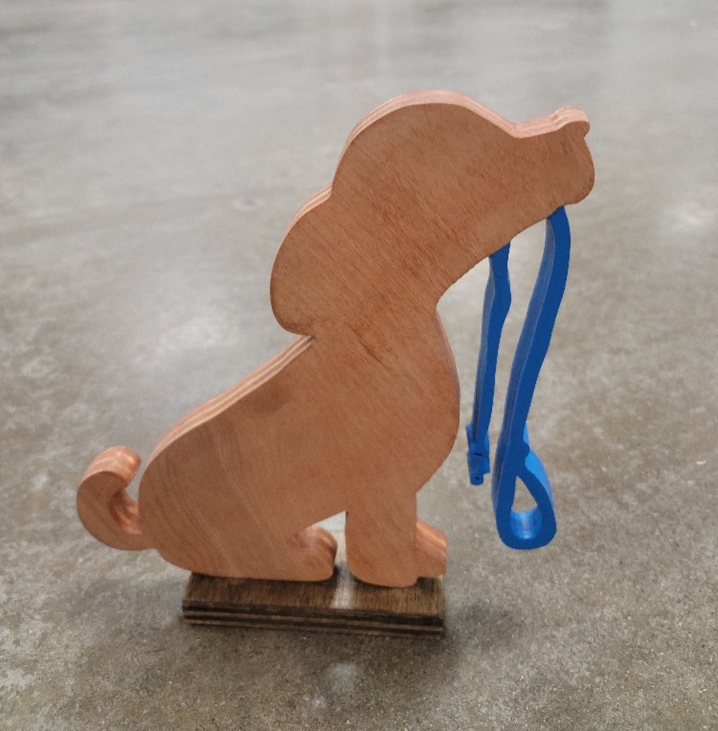 Playful Puppy