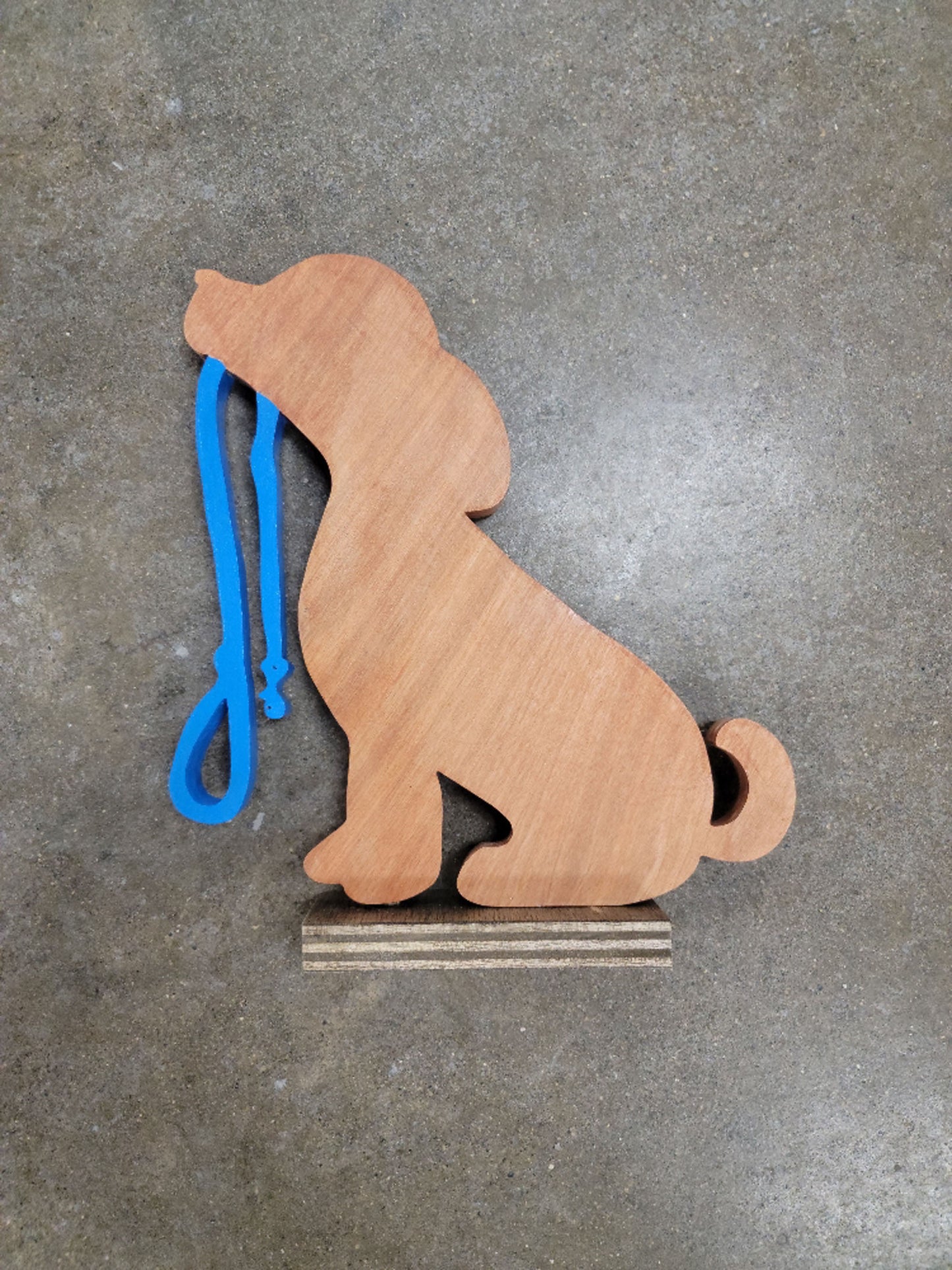 Playful Puppy